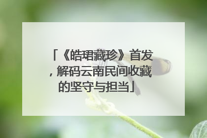 《皓珺藏珍》首发，解码云南民间收藏的坚守与担当