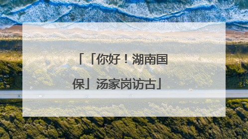 「你好！湖南国保」汤家岗访古