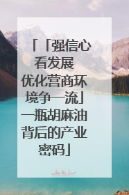 「强信心 看发展 优化营商环境争一流」一瓶胡麻油背后的产业密码