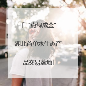 “点绿成金” 湖北首单水生态产品交易落地