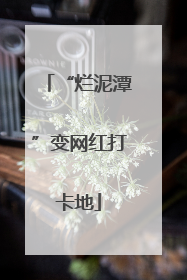 “烂泥潭”变网红打卡地