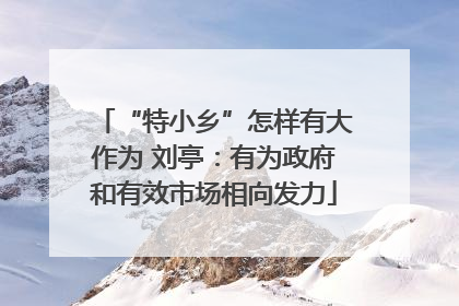 “特小乡”怎样有大作为 刘亭：有为政府和有效市场相向发力