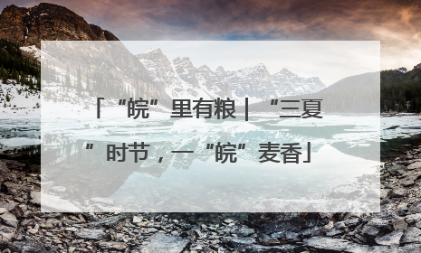 “皖”里有粮｜“三夏”时节，一“皖”麦香
