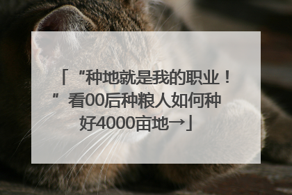 “种地就是我的职业！”看00后种粮人如何种好4000亩地→