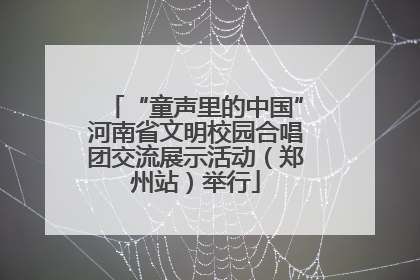 “童声里的中国”河南省文明校园合唱团交流展示活动（郑州站）举行