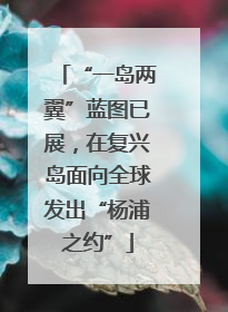 “一岛两翼”蓝图已展，在复兴岛面向全球发出“杨浦之约”