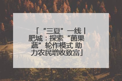 “三夏”一线丨肥城：探索“菌果蔬”轮作模式 助力农民增收致富