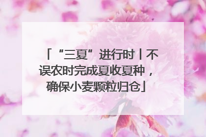 “三夏”进行时丨不误农时完成夏收夏种，确保小麦颗粒归仓