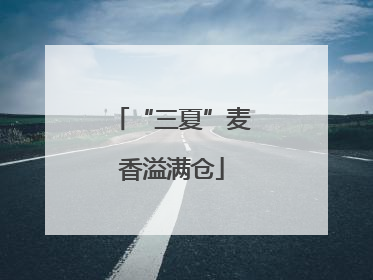 “三夏”麦香溢满仓