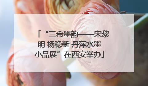“三希墨韵——宋黎明 杨稳新 丹萍水墨小品展”在西安举办