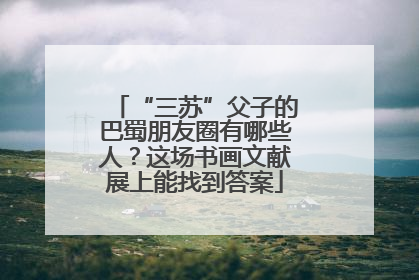 “三苏”父子的巴蜀朋友圈有哪些人？这场书画文献展上能找到答案