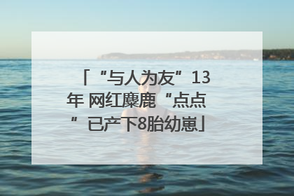 “与人为友”13年 网红麋鹿“点点”已产下8胎幼崽