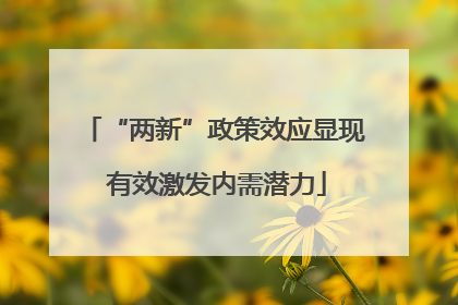 “两新”政策效应显现 有效激发内需潜力