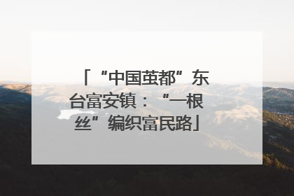 “中国茧都”东台富安镇：“一根丝”编织富民路