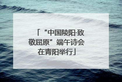 “中国陵阳·致敬屈原”端午诗会在青阳举行