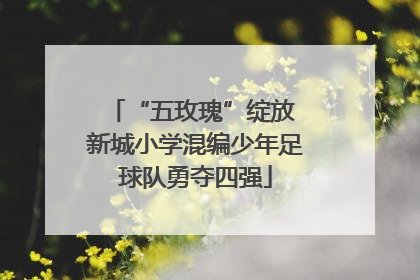 “五玫瑰”绽放 新城小学混编少年足球队勇夺四强
