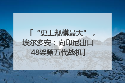 “史上规模最大”，埃尔多安：向印尼出口48架第五代战机