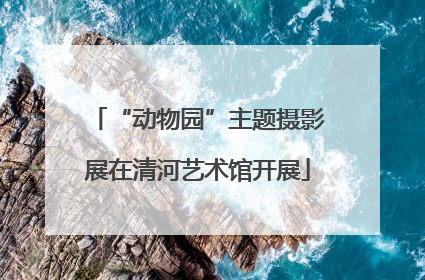 “动物园”主题摄影展在清河艺术馆开展