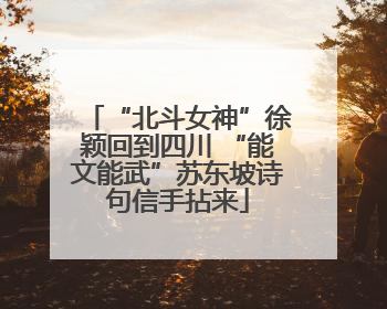 “北斗女神”徐颖回到四川 “能文能武”苏东坡诗句信手拈来