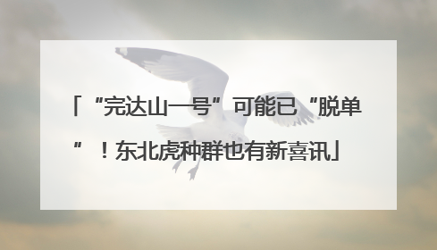 “完达山一号”可能已“脱单”！东北虎种群也有新喜讯