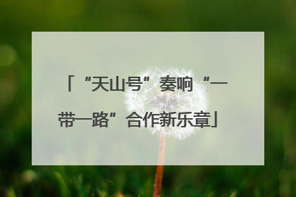 “天山号”奏响“一带一路”合作新乐章