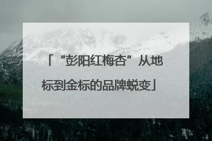 “彭阳红梅杏”从地标到金标的品牌蜕变