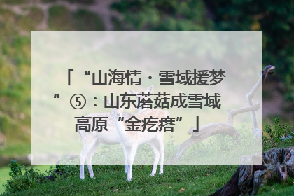 “山海情・雪域援梦”⑤：山东蘑菇成雪域高原“金疙瘩”