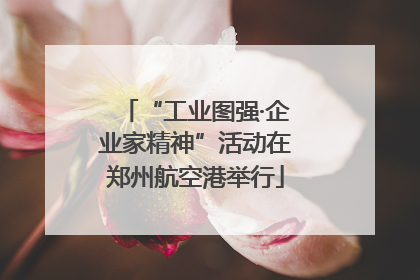 “工业图强·企业家精神”活动在郑州航空港举行
