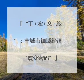 “工+农+文+旅”：丰城市镇域经济“蝶变密码”