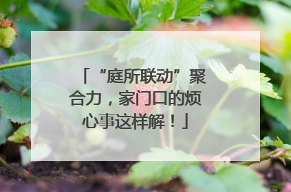 “庭所联动”聚合力，家门口的烦心事这样解！