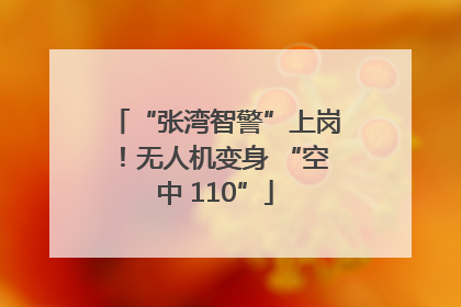 “张湾智警”上岗！无人机变身 “空中 110”