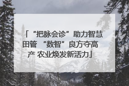 “把脉会诊”助力智慧田管 “数智”良方夺高产 农业焕发新活力