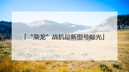“枭龙”战机最新型号曝光