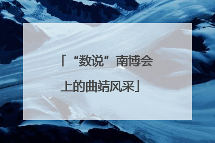 “数说”南博会上的曲靖风采