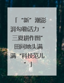 “新”潮澎湃勾勒活力“三夏耕作图” 田间地头满满“科技范儿”