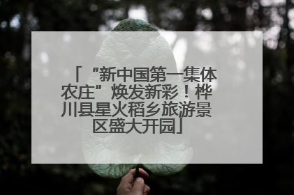“新中国第一集体农庄”焕发新彩！桦川县星火稻乡旅游景区盛大开园