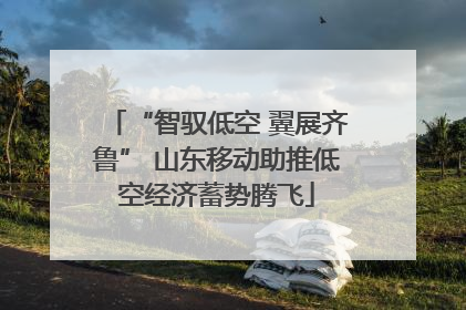 “智驭低空 翼展齐鲁” 山东移动助推低空经济蓄势腾飞