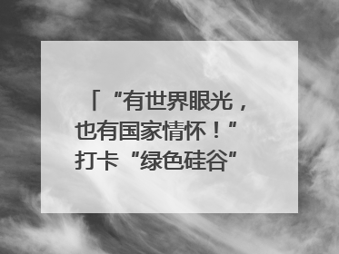 “有世界眼光，也有国家情怀！”打卡“绿色硅谷”，博主新解乐山｜网络名人四川行