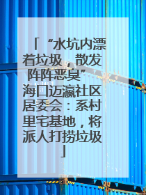 “水坑内漂着垃圾，散发阵阵恶臭” 海口迈瀛社区居委会：系村里宅基地，将派人打捞垃圾