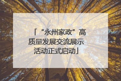 “永州家政”高质量发展交流展示活动正式启动