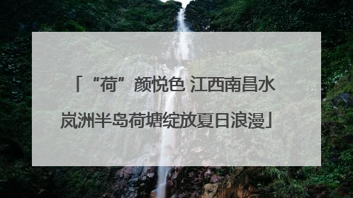 “荷”颜悦色 江西南昌水岚洲半岛荷塘绽放夏日浪漫