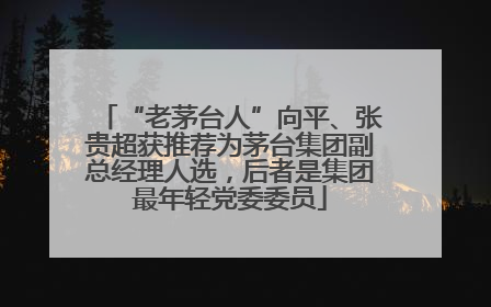 “老茅台人”向平、张贵超获推荐为茅台集团副总经理人选，后者是集团最年轻党委委员