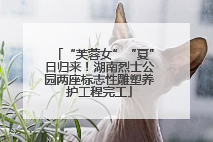 “芙蓉女”“夏”日归来！湖南烈士公园两座标志性雕塑养护工程完工
