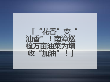 “花香”变“油香”！南漳巡检万亩油菜为增收“加油”！