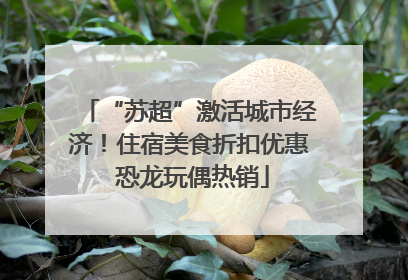 “苏超”激活城市经济！住宿美食折扣优惠 恐龙玩偶热销