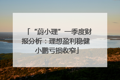 “蔚小理”一季度财报分析：理想盈利稳健 小鹏亏损收窄