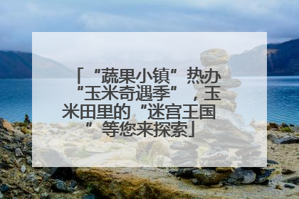 “蔬果小镇”热办“玉米奇遇季”，玉米田里的“迷宫王国”等您来探索