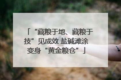 “藏粮于地、藏粮于技”见成效 盐碱滩涂变身“黄金粮仓”