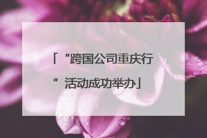 “跨国公司重庆行”活动成功举办