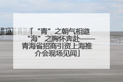 “青”之朝气相邀 “海”之胸怀奔赴——青海省招商引资上海推介会现场见闻